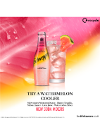 Picture of Schweppes Watermelon Melon Soda 24 x 200ml