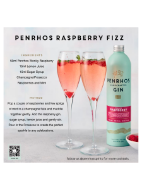 Picture of Penrhos Wonky Raspberry Gin 70cl