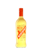 Picture of Warninks Original Advocaat 70cl
