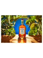 Picture of Appleton Estate Signature Jamaica Rum 70cl