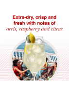 Picture of MARTINI DRY VERMOUTH 75CL