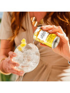 Picture of The London Essence Co. Original Indian Tonic Water 150ml