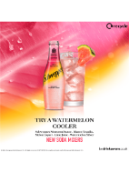 Picture of Schweppes Watermelon Melon Soda 24 x 200ml