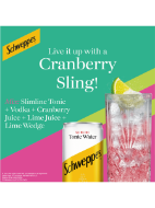 Picture of Schweppes Slimline Tonic Water 24 x 150ml