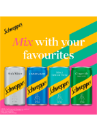 Picture of Schweppes Canada Dry Ginger Ale 24 x 150ml