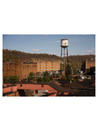 Picture of Buffalo Trace Kentucky Straight Bourbon Whiskey 70cl