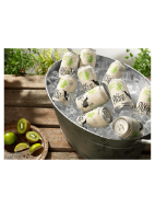 Picture of Old Mout Cider Kiwi & Lime 10 x 330ml Cans