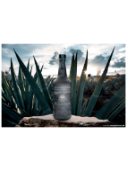 Picture of Casamigos Mezcal 40% Vol 70cl