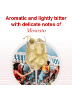 Picture of MARTINI Riserva Speciale Ambrato Vermouth Aperitivo, 75cl