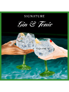 Picture of Tanqueray London Dry Gin 41.3% vol 70cl Bottle