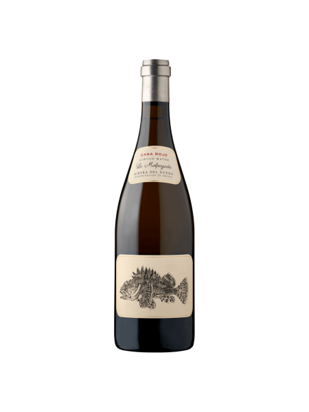 Picture of Casa Rojo La Malpagada White Wine 750ml