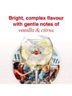 Picture of MARTINI Bianco Vermouth Aperitivo, 75cl